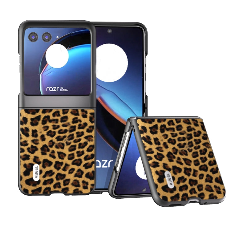 Leopard print phone case with black edge, golden tan pattern