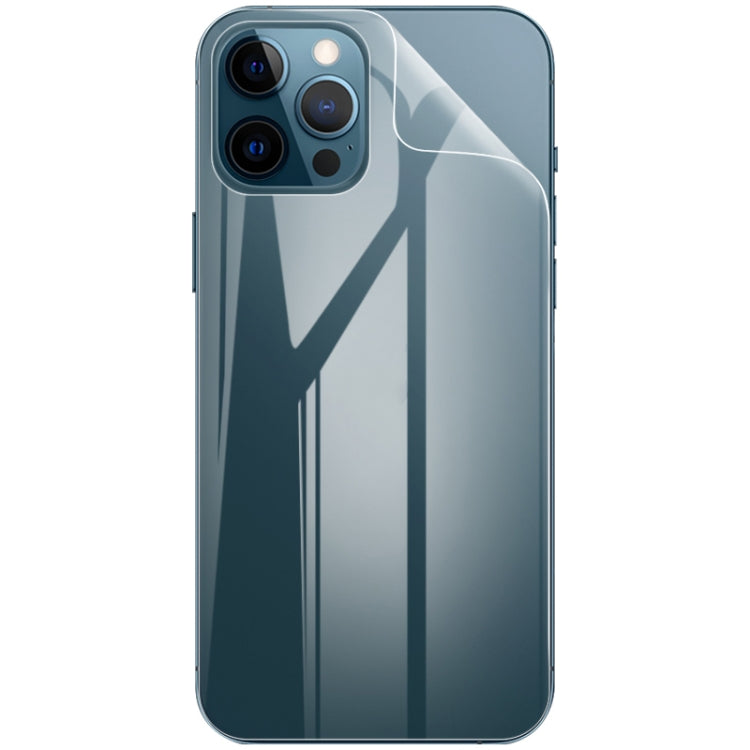 Curved transparent hydrogel back protector film on smartphone with camera openings
