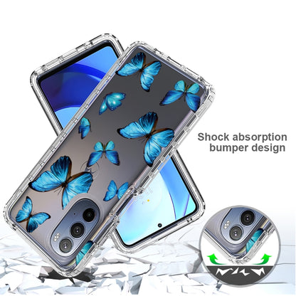 Clear rugged phone case with blue butterfly print and thick bumper corners.