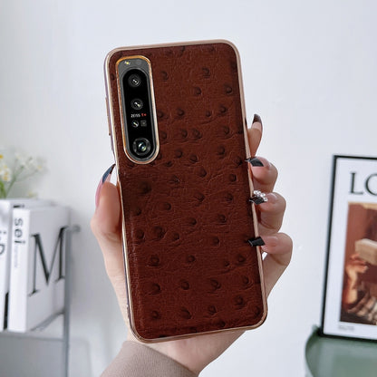 Coffee brown ostrich-textured leather phone case held in hand, dual camera cutouts