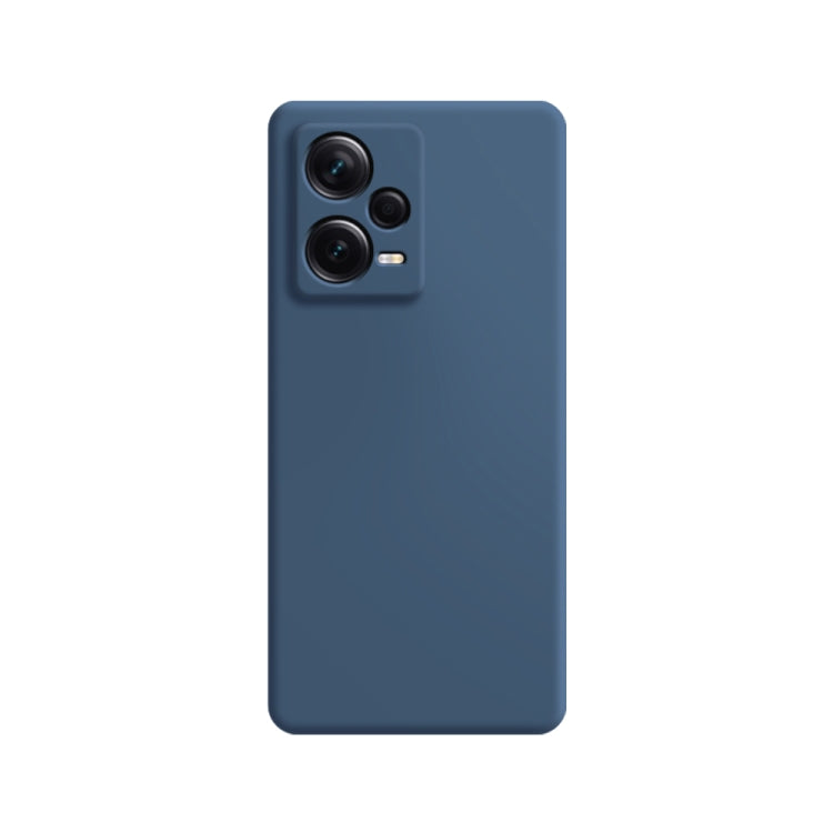 Imitation liquid silicone phone case, blue with dual camera cutouts on back.