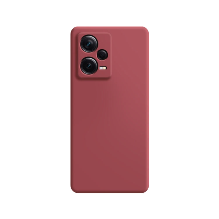 Imitation liquid silicone phone case, red with dual camera cutouts on back.