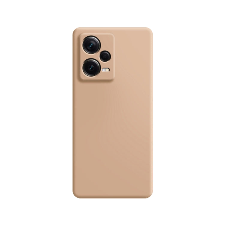 Imitation liquid silicone phone case, beige with dual camera cutouts on back.