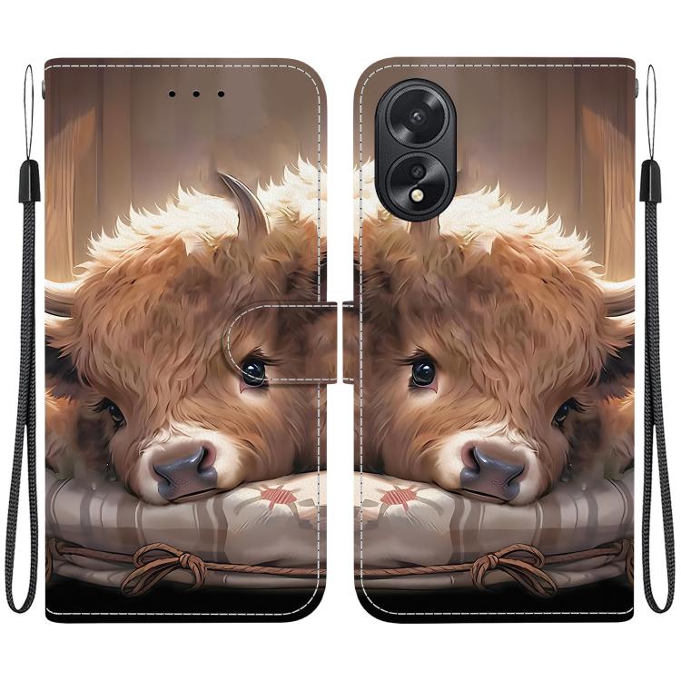 Crystal Texture Colored Drawing Leather Phone Case, For OPPO A38 / OPPO A18