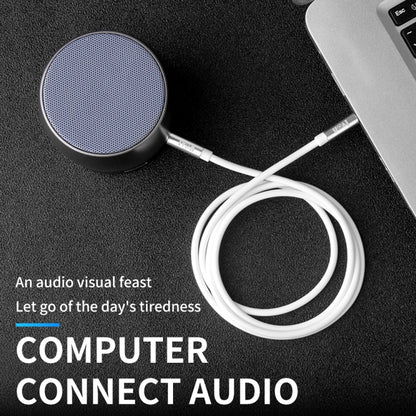 3.5mm AUX audio cable with white housing and silver male-to-male 3.5mm plugs