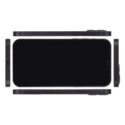 iPhone 12 dummy display model mockup showing front screen and rear frame
