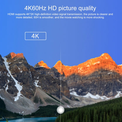 USB-C to HDMI adapter cable for 4K60Hz HD picture quality on TV
