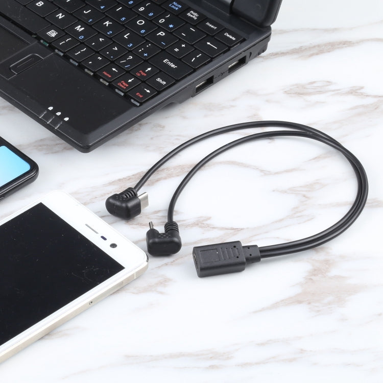 Black charging cable with Type-C and Micro USB connectors