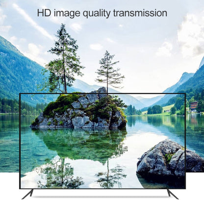 USB-C to HDMI/VGA adapter transmitting video to a TV display