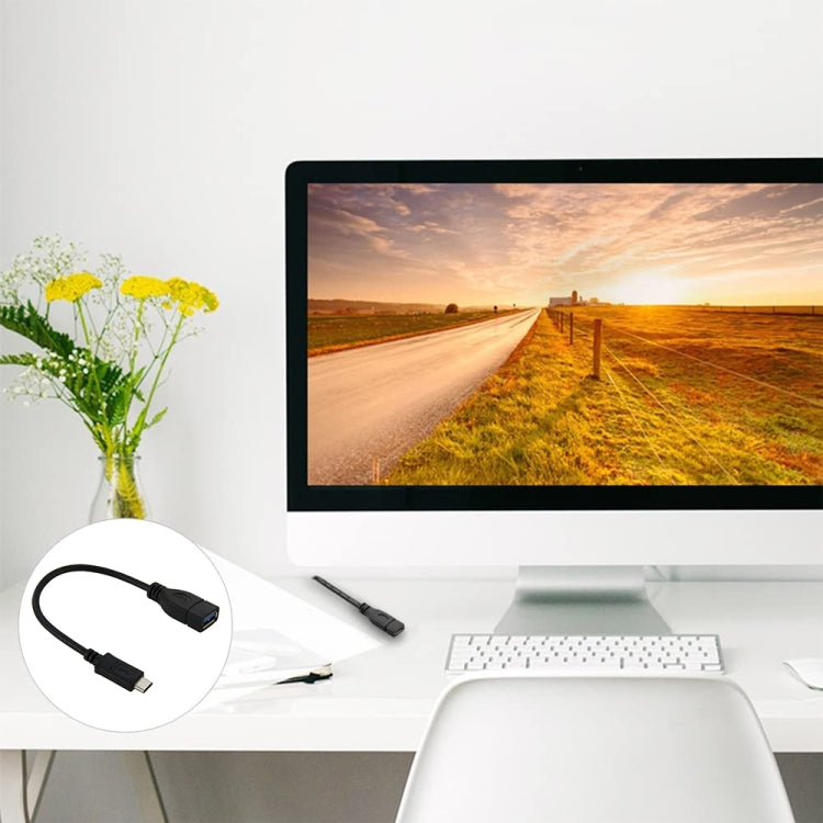 Black 22 cm USB-C to USB 3.0 adapter cable with connector inset