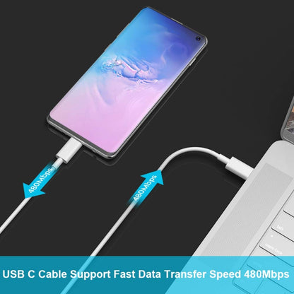 USB-C cable connects a phone and a power source device with white plugs