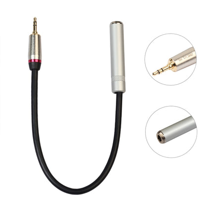 Audio adapter cable showing 3.5mm plug and 6.5mm female jack, black cable, silver housings