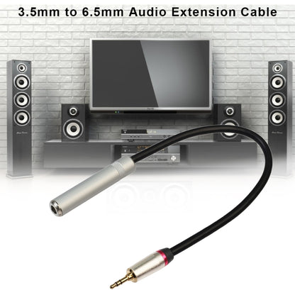 3.5mm to 6.5mm audio adapter cable with silver jack and gold 3.5mm plug, black cord