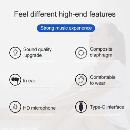 Wired in-ear earphones infographic with microphone and Type-C interface icons.