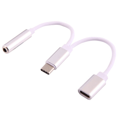 Silver USB-C male to 3.5mm female and USB-C female audio adapter cable