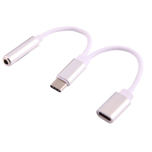 Silver USB-C male to 3.5mm female and USB-C female audio adapter cable