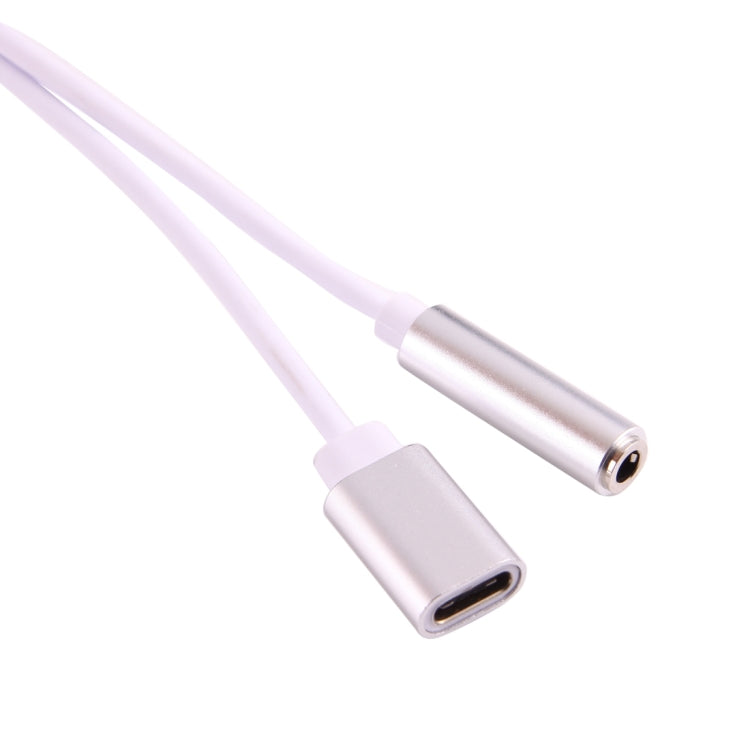 Silver USB-C audio adapter cable with 3.5mm headphone jack and USB-C port